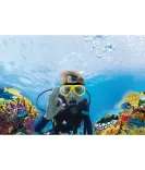 GOXTREME HEAD STRAP MOUNT 2016