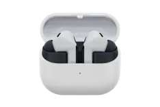 SamsungGalaxyBuds3FEGray