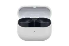 SamsungGalaxyBuds3FEGray