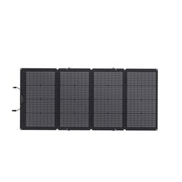 EcoFlow220W