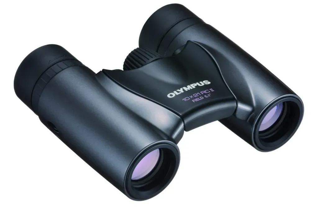 Olympus10X21RCIIDARKSILVERBinoculars