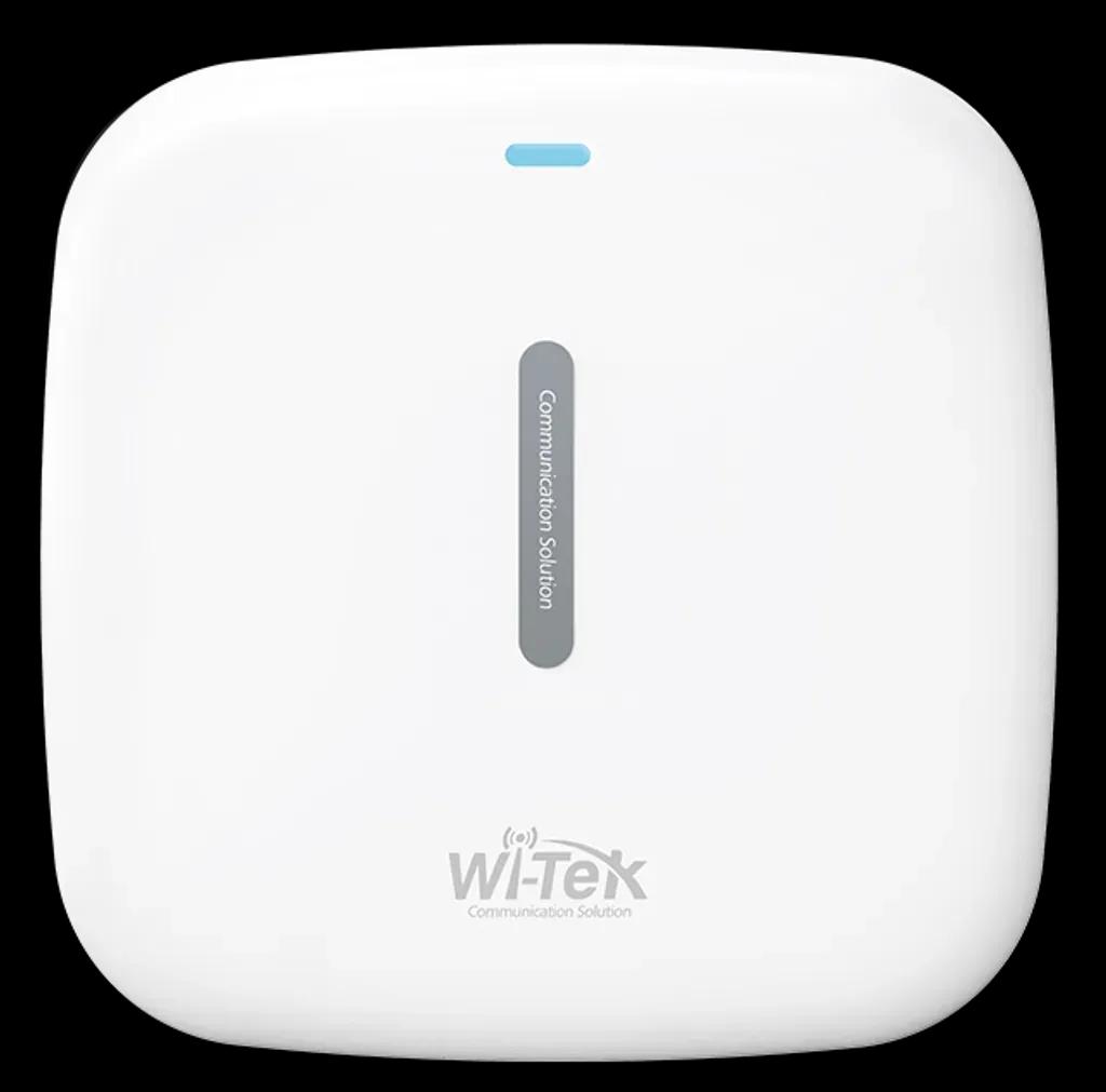 WI-TEK-WI-AP219AXV2
