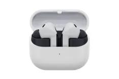 SamsungGalaxyBuds3FEGray