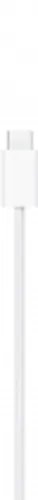 AppleMagSafeCharger1m