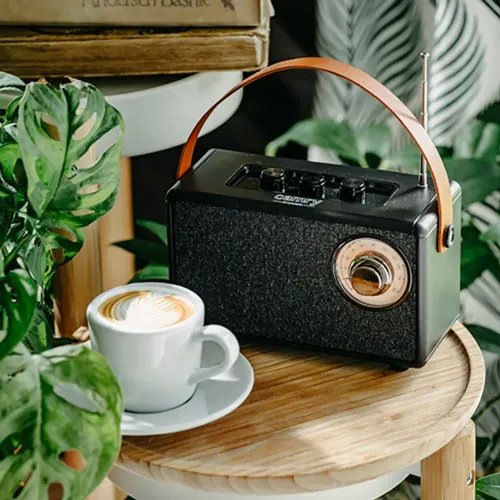 CAMRYBLUETOOTHSPEAKERWITHFMRADIOBLACK