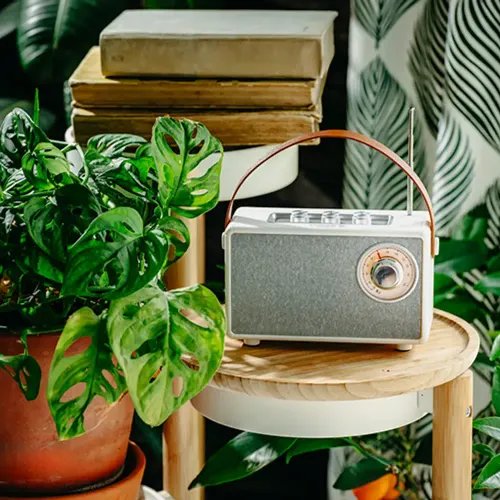 CAMRYBLUETOOTHSPEAKERWITHFMRADIOWHITE