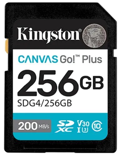 KingstonCanvasGoPlusG4256GBSDXC