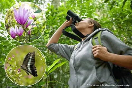 OlympusBinoculars8x42PROincl.Case