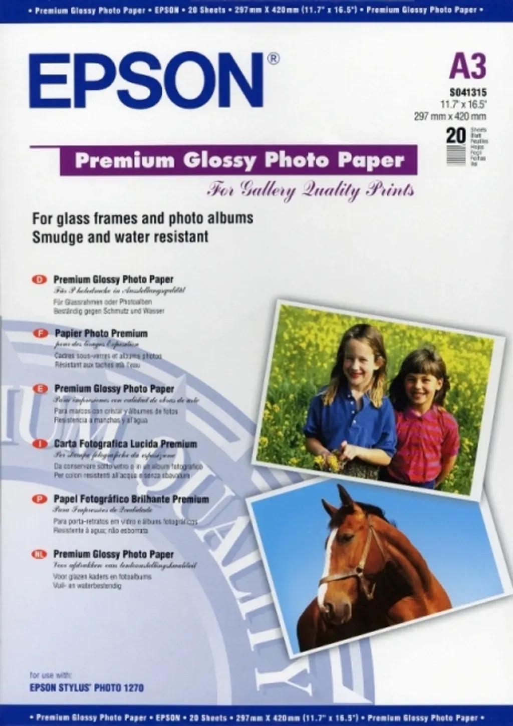 EPSONPaperPremiumGlossyPhotoC13S041315