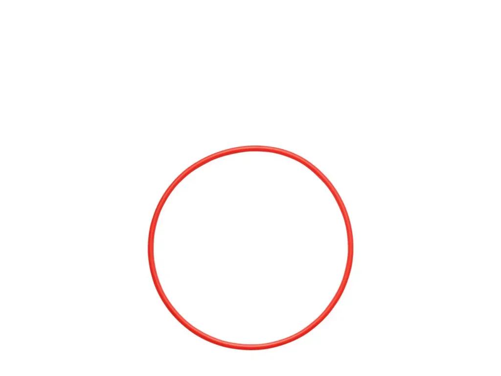 OlympusPOL-058O-ringforPT-058PT-059