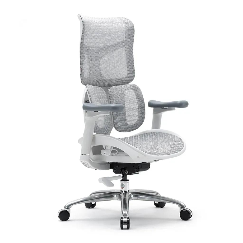 SIHOOERGONOMICCHAIRDOROS100White