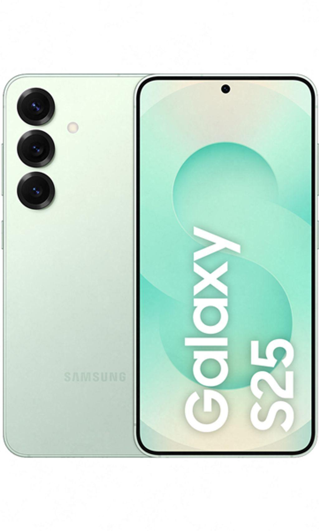 SamsungGalaxyS25Smartphone256GBMint