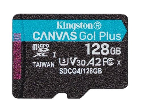 256GBmicroSDXCCANVASGOPLUSG4WOAD