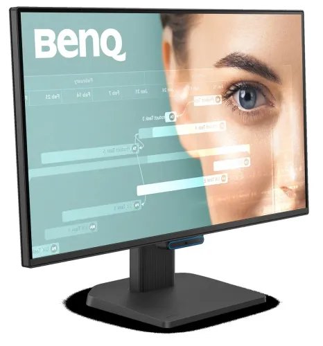 BENQGW2490C