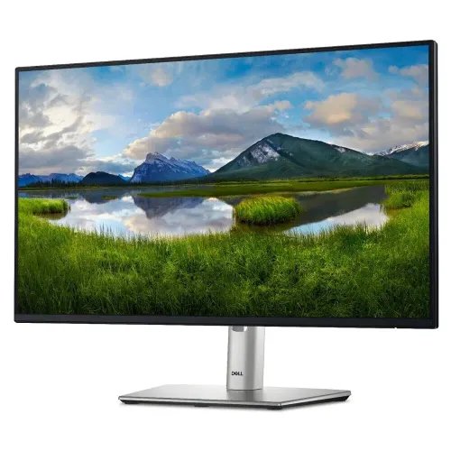 DELL Monitor P2425H 23.8 IPS HDMI DisplayPort VGA Height Adjustable 3YearsW