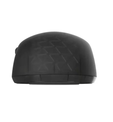 EndgameGearOP18kV2GamingMouse-DarkFrost-noclicklag30.000cpi