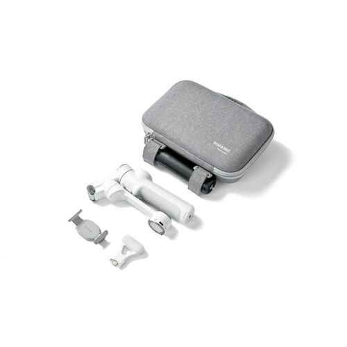 Insta360Flow2ProCarryCase