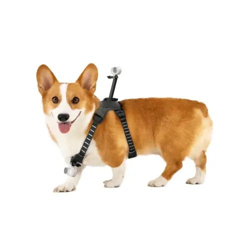 Insta360 Go 3Go 3S Pet Harness Mount Size M