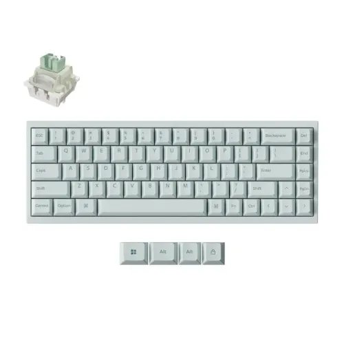 KeychronQ16HEQ16HW-L1QMKCeramicCustomHallEffectKeyboardRGBLimeSwitch65USGreen