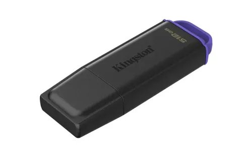 KingstonTechnologyDataTraveler512GBPortableUSB3.2Gen1ExodiaBlackPurple