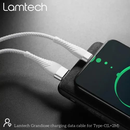 LAMTECH TYPE-C V20 HIGH QUALITY UNBREAKABLE CABLE SILVER 2M