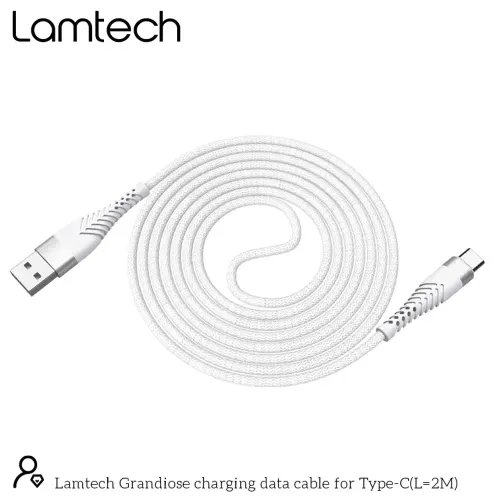 LAMTECH TYPE-C V20 HIGH QUALITY UNBREAKABLE CABLE SILVER 2M