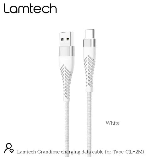 LAMTECH TYPE-C V20 HIGH QUALITY UNBREAKABLE CABLE SILVER 2M