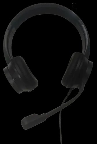 LAMTECH USB STEREO HEADPHONE WITH MIC NOISE CANCELLING BLACK