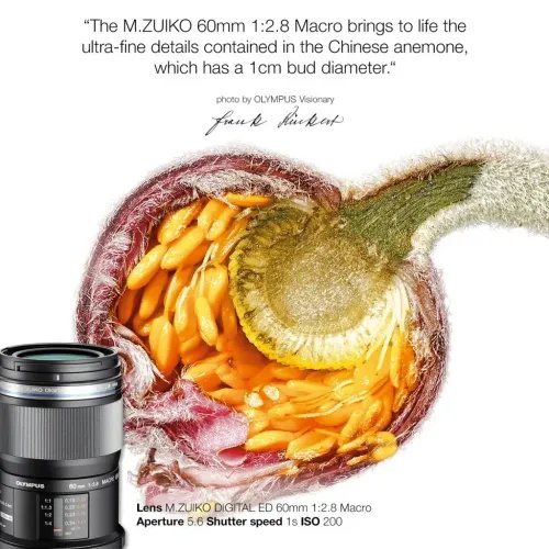 Olympus60mm12.8MACROBLACKM.ZUIKODIGITALEM-M6028LenseMicroFT