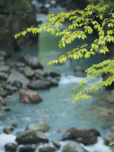 Olympus75mm11.8SILVERM.ZUIKODIGITALET-M7518LenseMicroFT