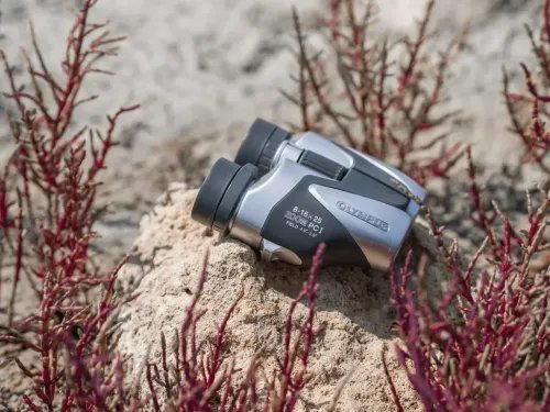 Olympus8-16X25ZOOMPCISILVERBinoculars