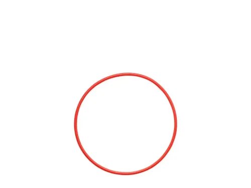 OlympusPOL-058O-ringforPT-058PT-059