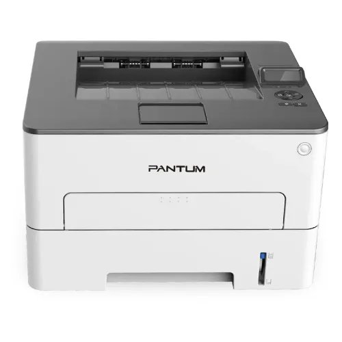 PantumP3010DWLaser