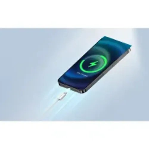 RiversongCableType-CtoLightning27WLotus101mLightGray