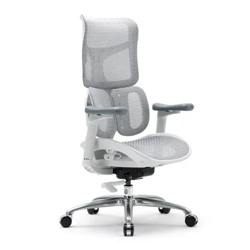 SIHOOERGONOMICCHAIRDOROS100White