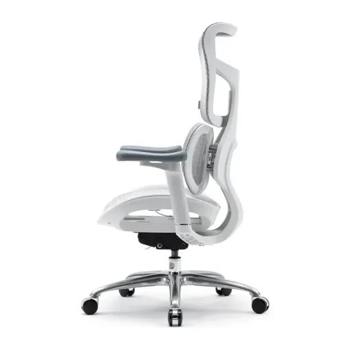 SIHOOERGONOMICCHAIRDOROS100White