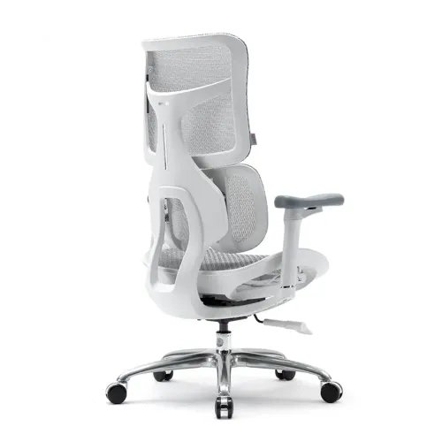 SIHOOERGONOMICCHAIRDOROS100White
