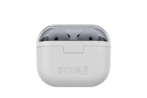 SamsungGalaxyBuds3FEGray