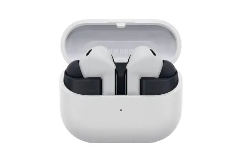 SamsungGalaxyBuds3FEGray