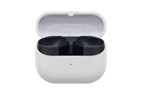 SamsungGalaxyBuds3FEGray