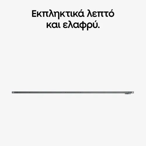 SamsungGalaxyTabS125G256GGray