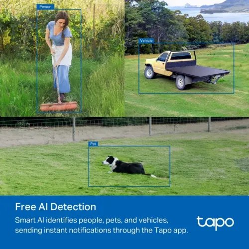 TP-LINK4GCameraTapoC501GWFHDPanTiltOutdoor